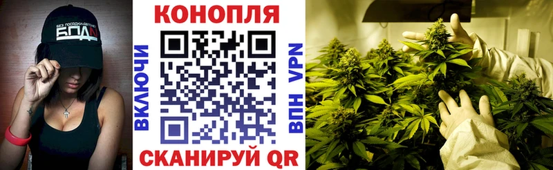 Меф Шуя