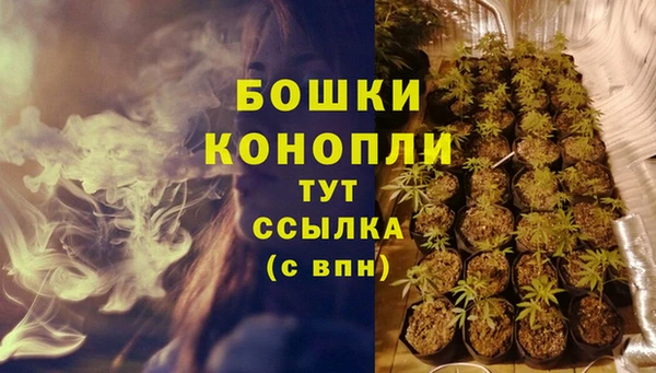 винт Арсеньев