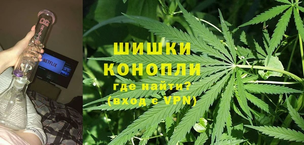 винт Арсеньев