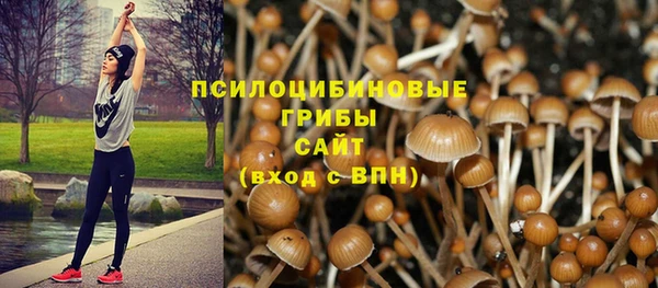 мяу мяу мука Алексин
