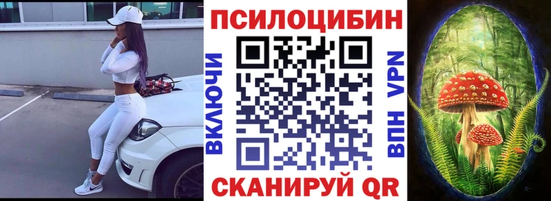 Псилоцибиновые грибы Psilocybe  Шуя 