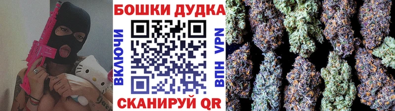 Бошки Шишки планчик  Шуя 